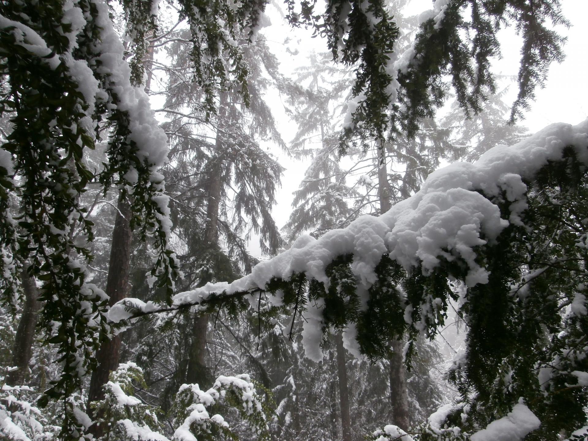 Mayères sous la neige (Hte Savoie)