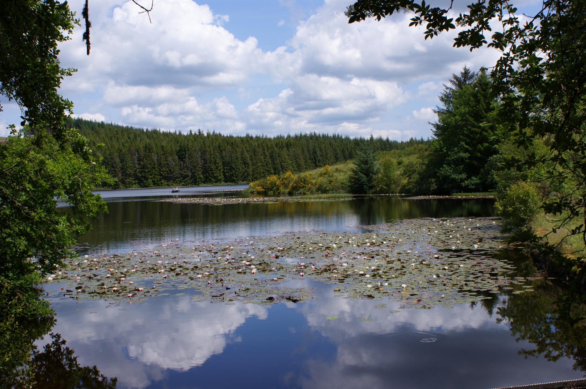 étang des Oussines (Millevaches, Corrèze)