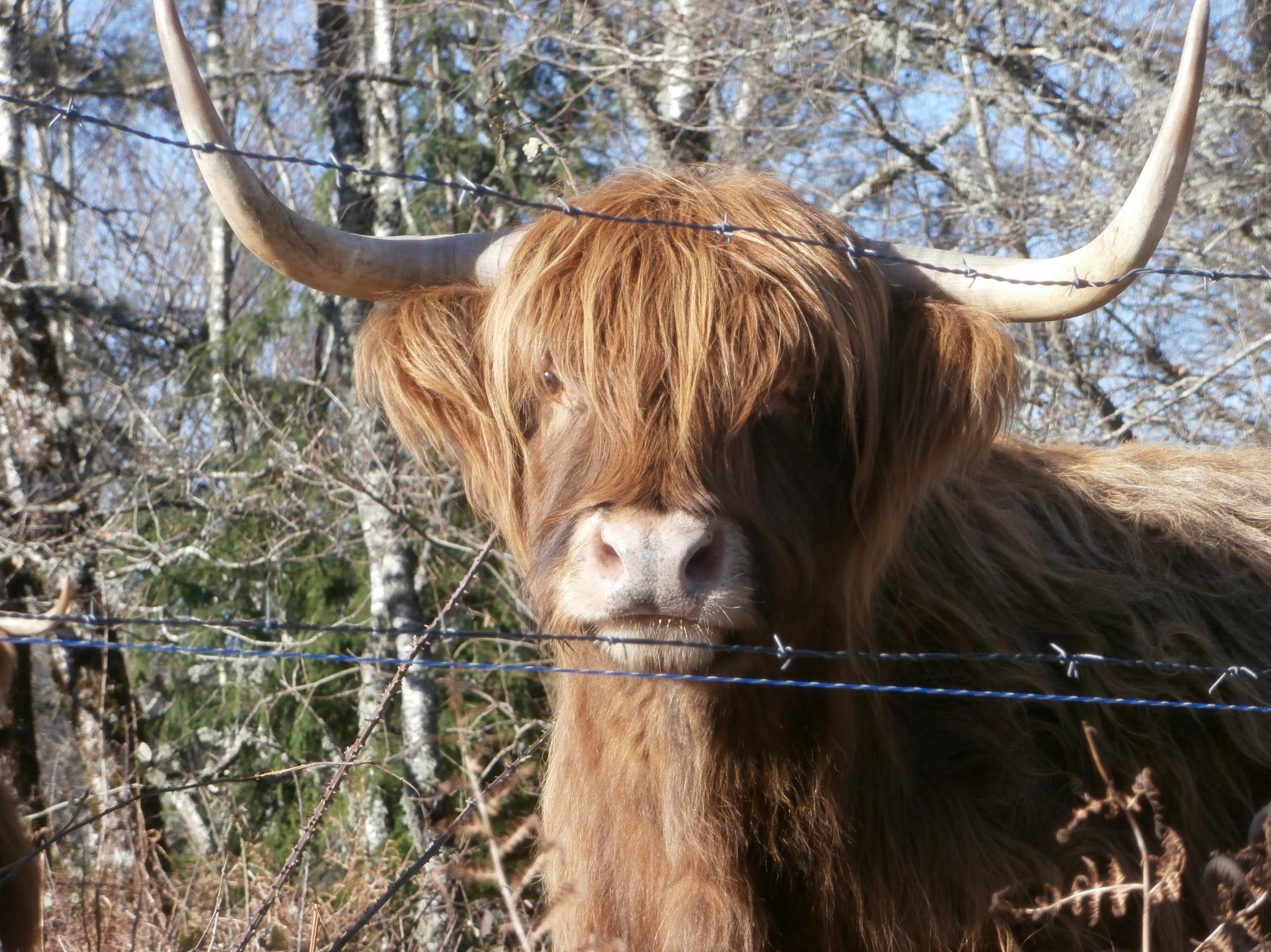 Highlands (Monédières )