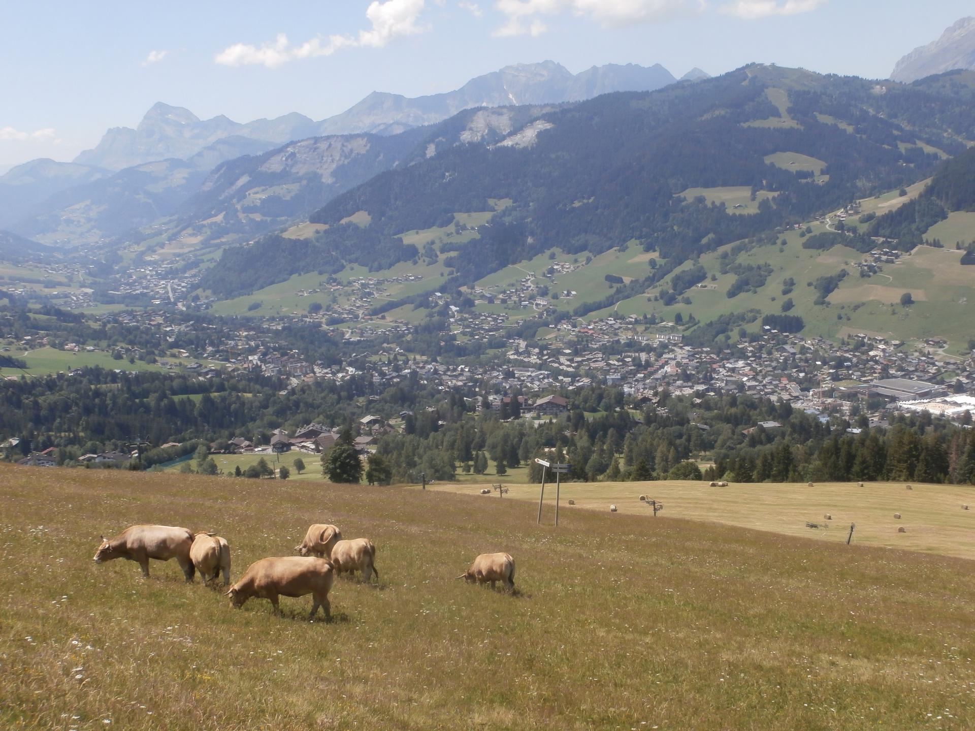 vue sur Megève