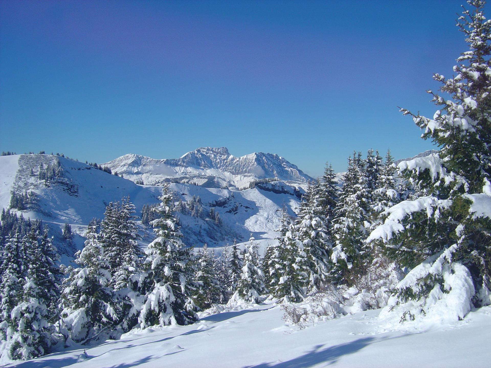 Mont Vorrès 