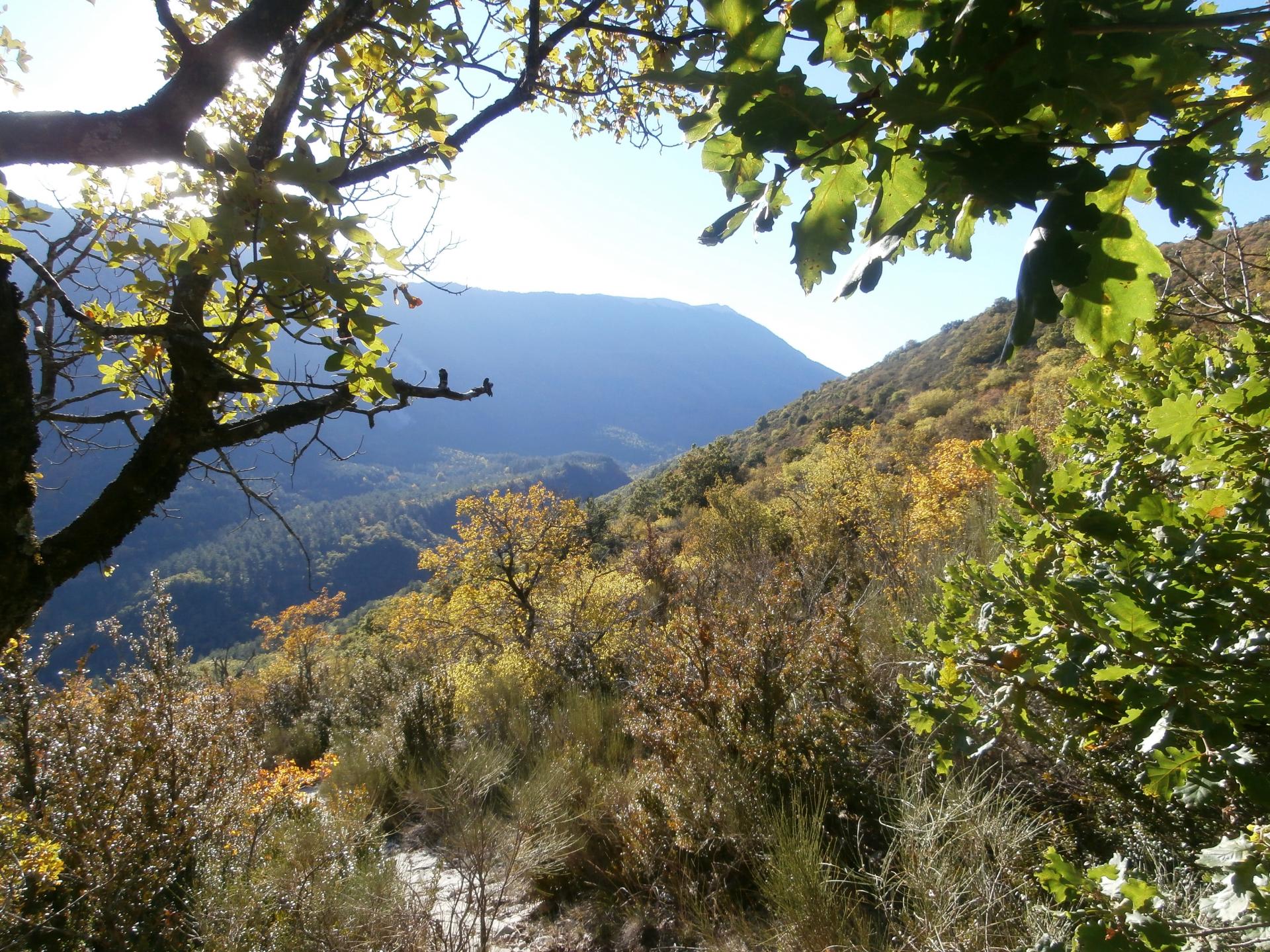 Montagne de Lure 