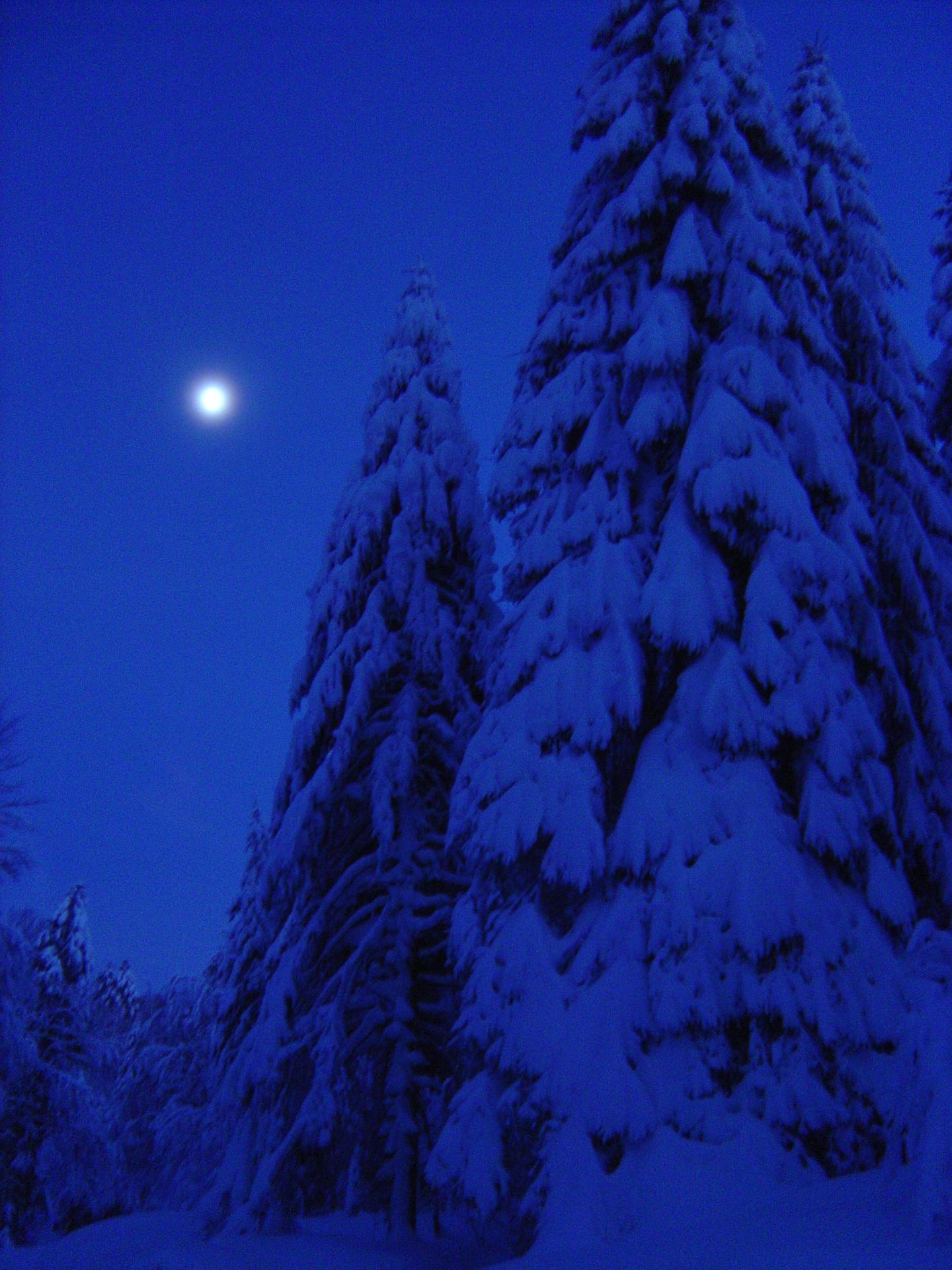 Nocturne