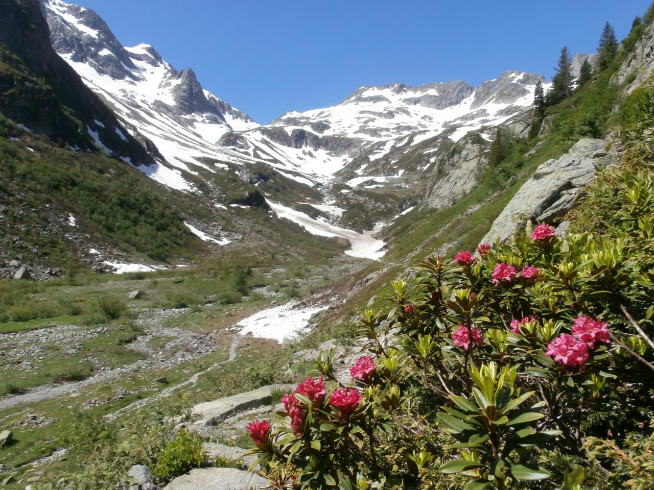 Vallon de Bérard