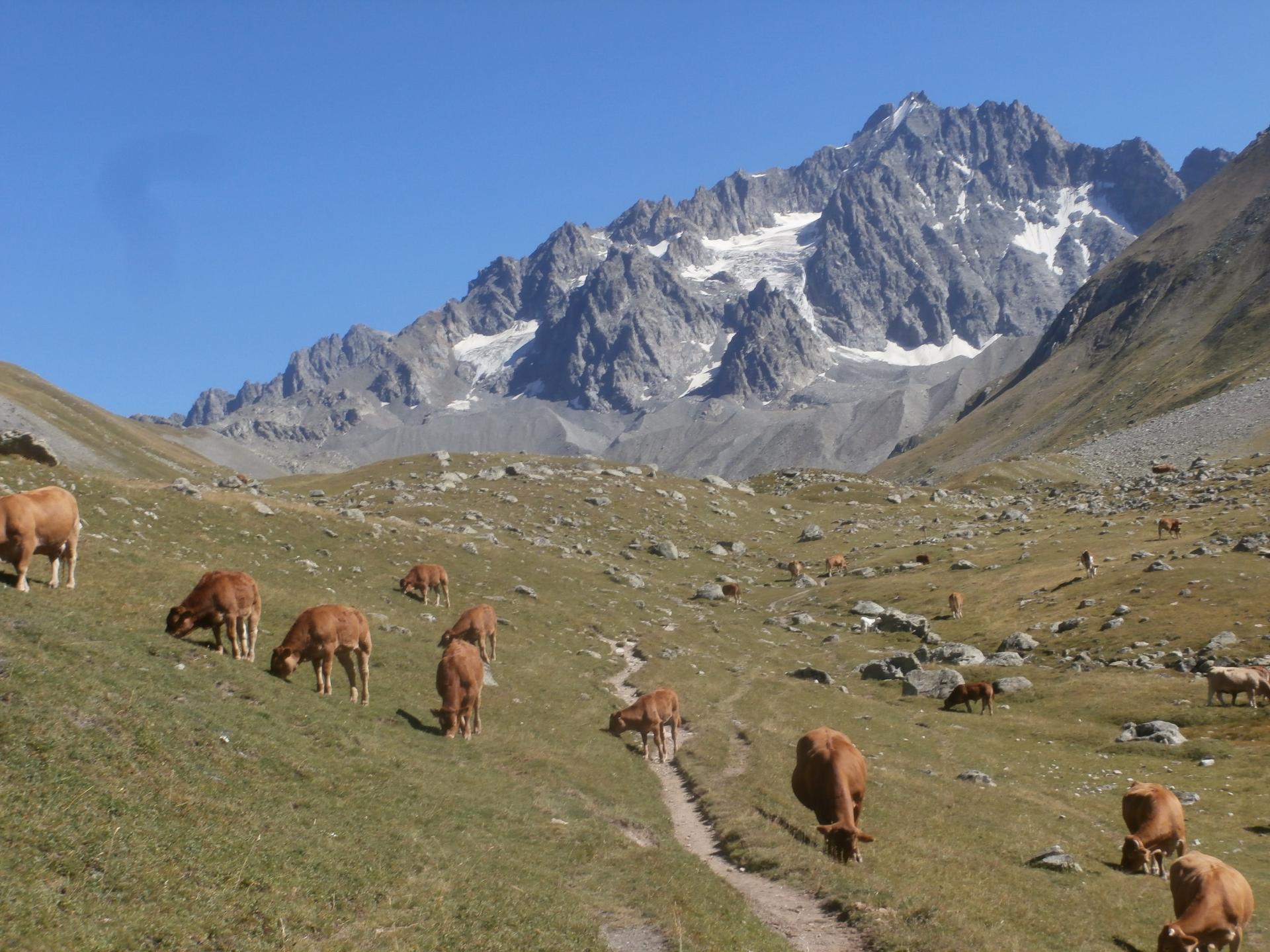 col d'Arsine