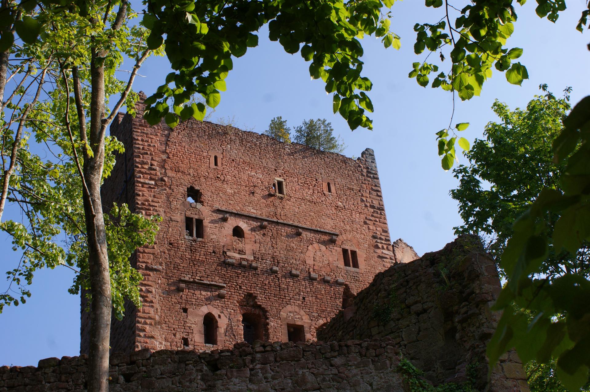 château d'Ottrott château (Alsace, Ste Odile)