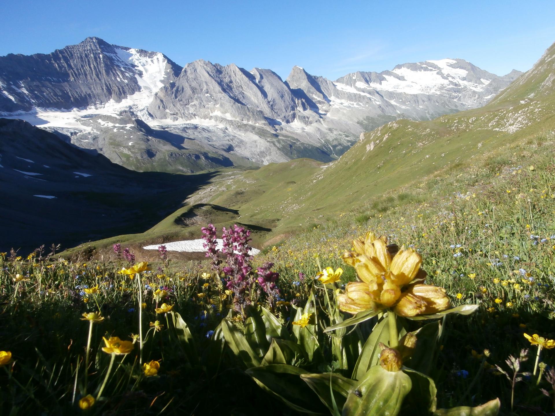 Tignes 