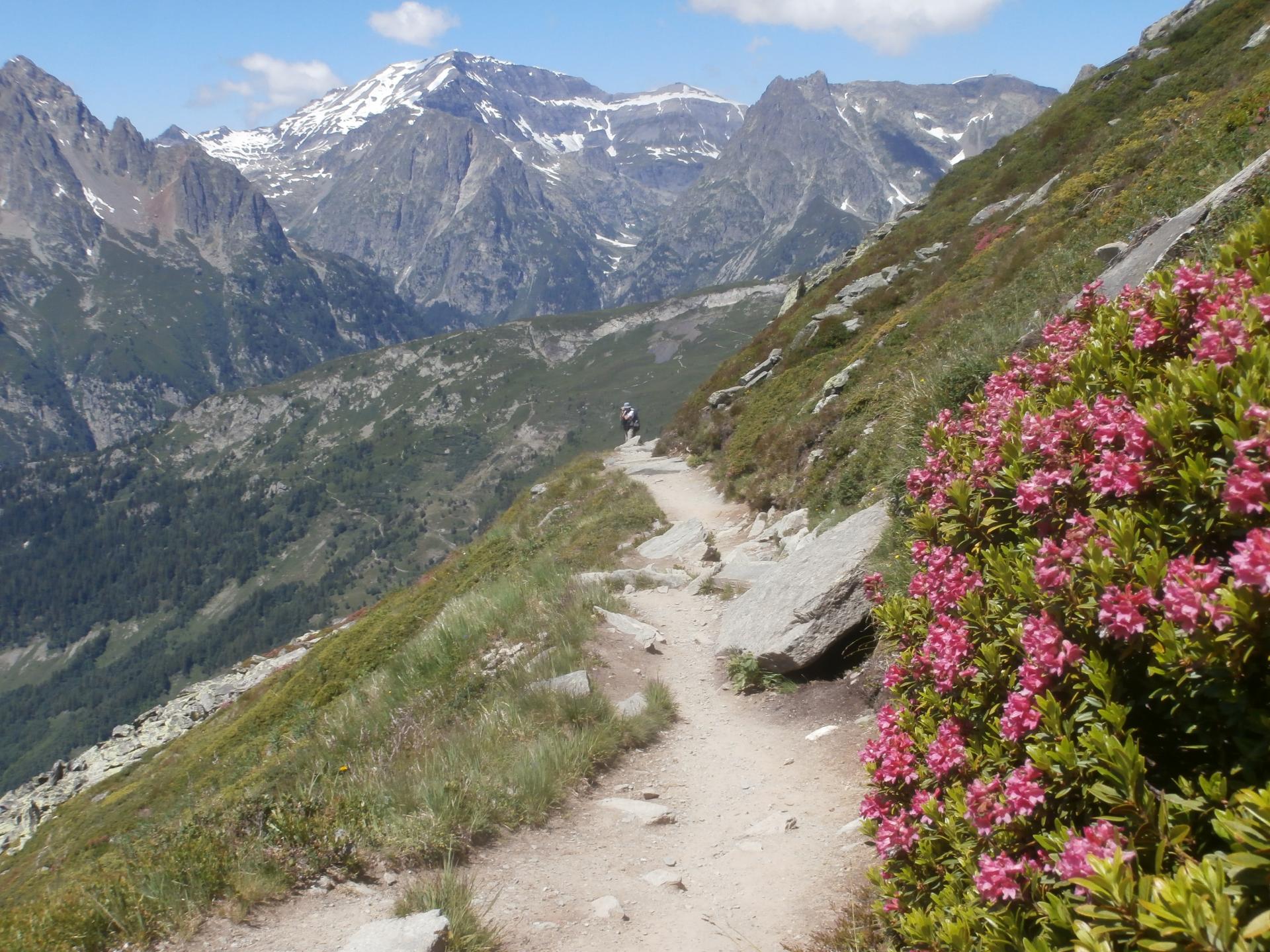 le Tour 2019