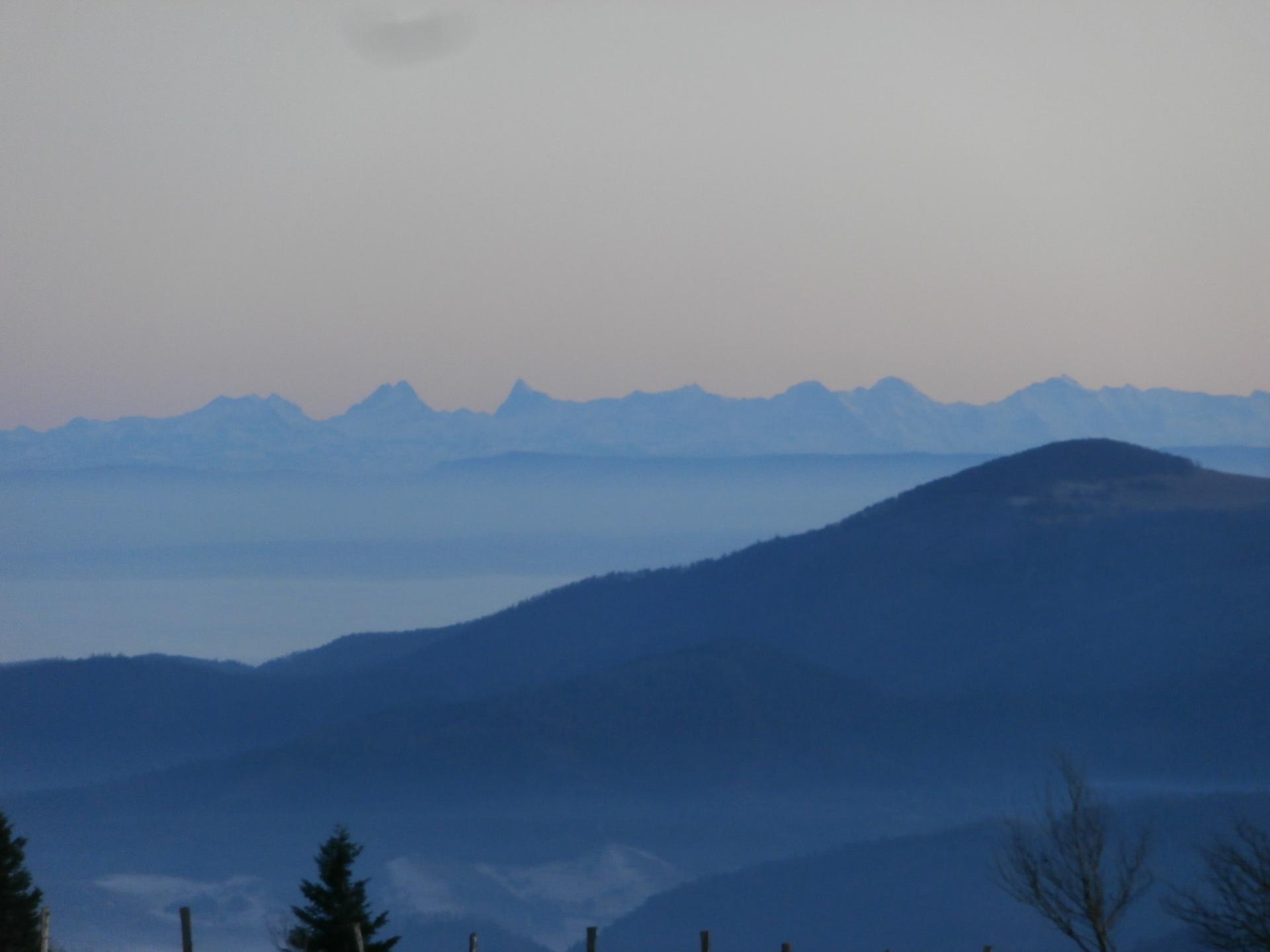 crêtes Suisses depuis le Grand Ventron (Vosges)