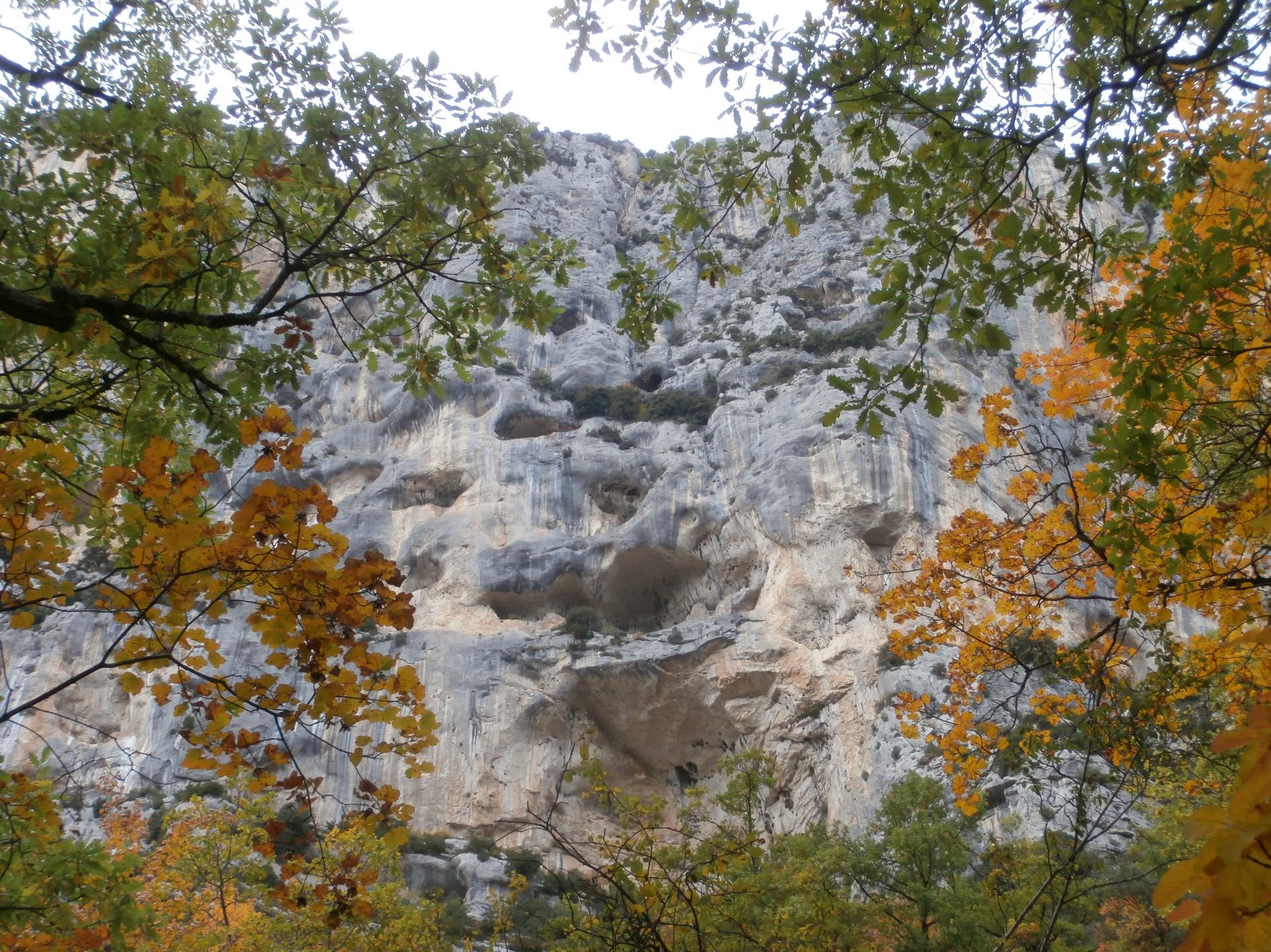 Verdon falaises