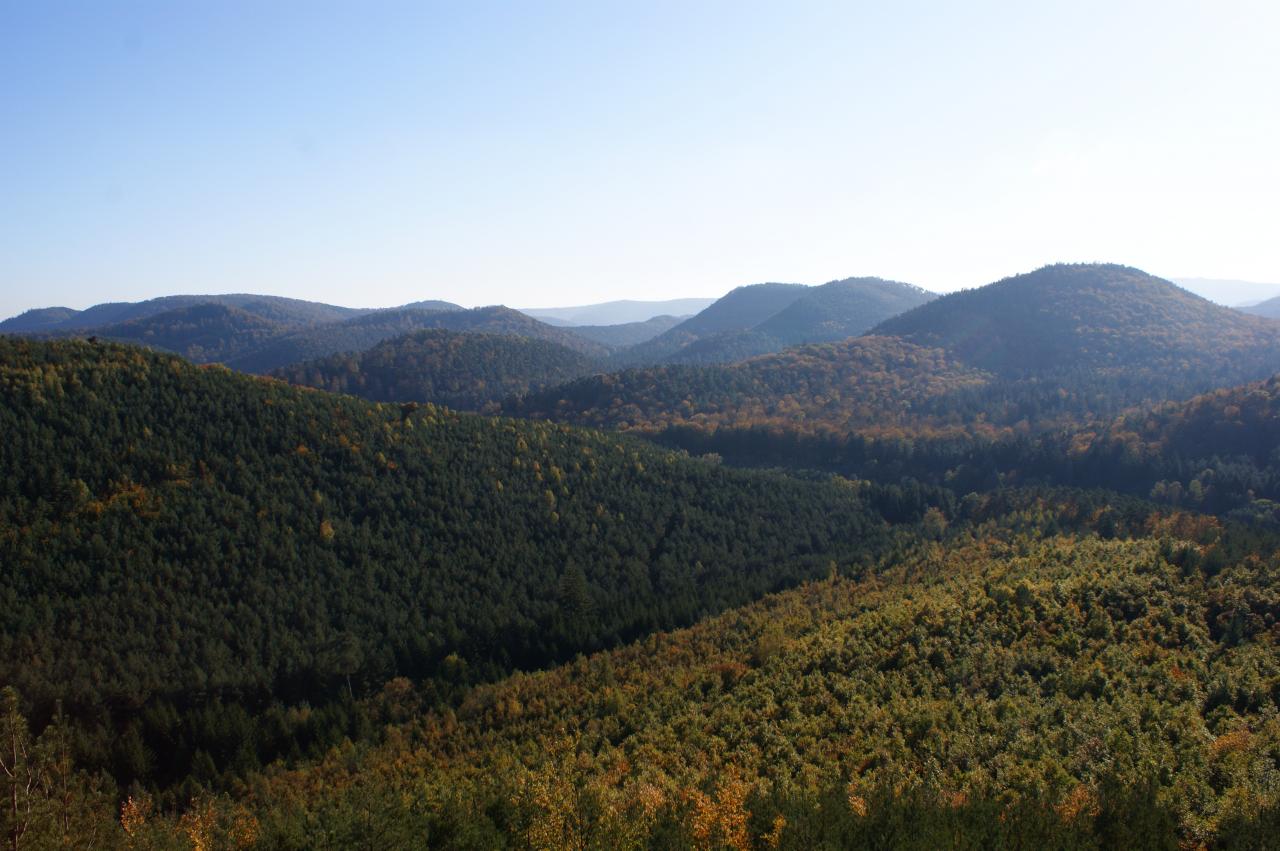 La Haute Alsace